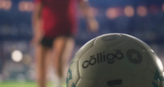 Colligo still